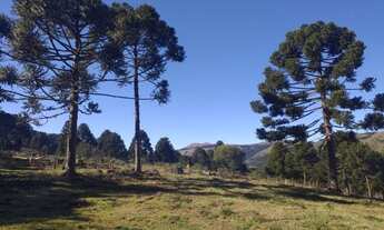 Imagem 3: Terreno/Chácara/Fazenda/Francisco Krtiscka Corretor de imóveis