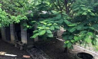 Imagem 5: Vargem - Chácara - CENTRO