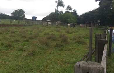 Imagem 4: Vendo excelente chácara de 16,2 hectares em Formosa próximo a BR 020