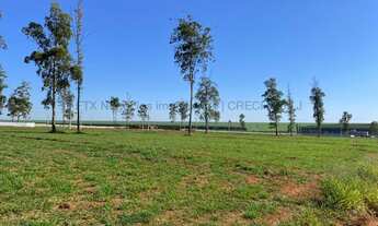 Imagem 3: Terreno à venda 475M², Parque dos Eucaliptos, Chapadão do Sul - MS
