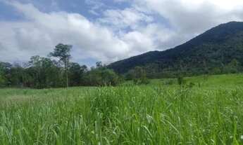 Imagem 4: Terra Rural com cachoeira e igarapé, otima para balneário e plantação