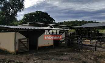 Imagem 3: Fazenda com 98 Alqueires (474,32 Há ) em Nova Iguaçu-GO