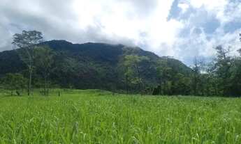 Imagem 7: Terra Rural com cachoeira e igarapé, otima para balneário e plantação