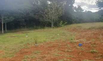 Imagem 5: Chácara em Itaberaí