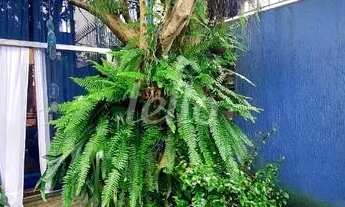 Imagem 7: São Paulo - Casa Padrão - Saúde