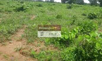 Imagem 4: Fazenda Extra em Mutunopolis-GO ! 45 alqueires toda formada!