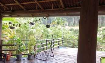 Imagem 4: Vendo essa chácara, 4 km de venda nova