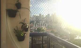 Imagem 6: São Paulo - Apartamento Padrão - Vila Gumercindo