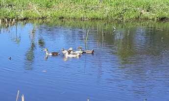 Imagem 5: Fazenda/Sítio/Chácara para venda com 5000 metros quadrados com 3 quartos em Centro - Canta