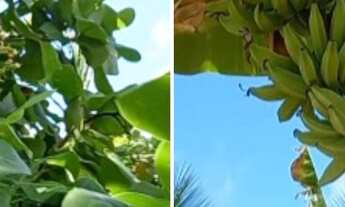 Imagem: Casa vender ou trocar