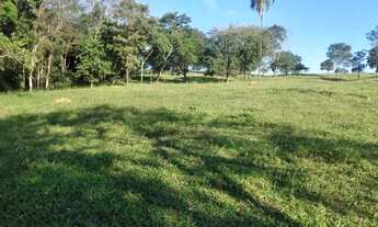 Imagem 4: Terra de 2 alqueire em professor Jamil