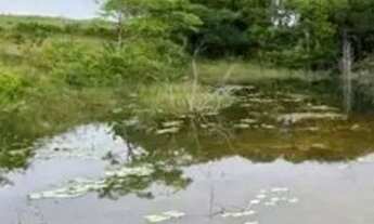 Imagem 5: Fazenda 45 hectares há 22 km de Castanhal R$: 950.000 mil