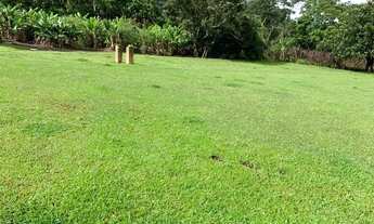 Imagem 3: Jt- Terreno com ótima topografia