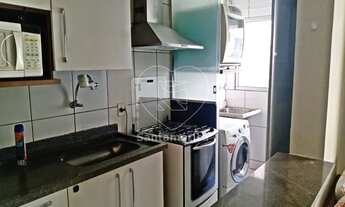 Imagem 5: LONDRINA - Padrão - Nossa Senhora de Lourdes