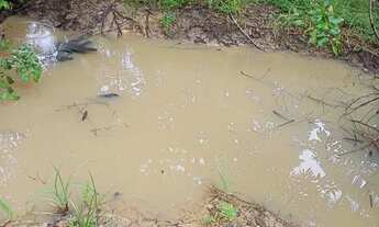 Imagem 5: Sítio, vendo e troco