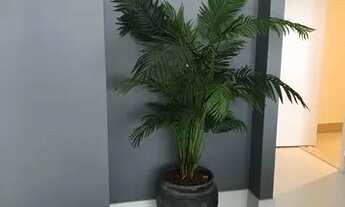 Imagem 4: Apartamento para aluguel tem 189 metros quadrados com 3 quartos em DAE - Campinas - SP