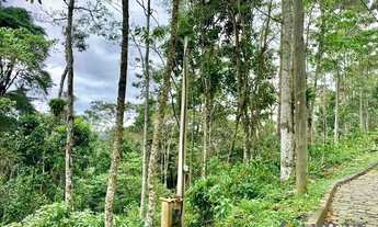 Imagem 3: PETRóPOLIS - Terreno Padrão - Quarteirão Ingelheim