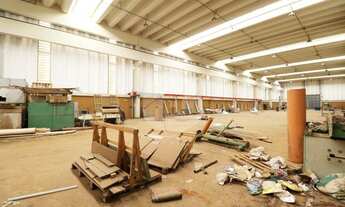 Imagem 13: Galpão - Betel - Paulínia