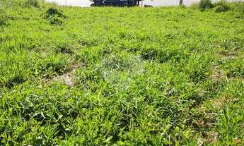 Imagem 3: São João da Boa Vista - Terreno Padrão - Loteamento Portal da Aliança