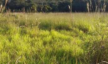 Imagem 7: Oportunidade em Planaltina DF!Vendo excelente chácara com muita água!