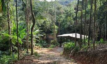 Imagem 7: Excelente terreno em Santo Amaro da Imperatriz