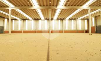 Imagem 9: Galpão - Betel - Paulínia