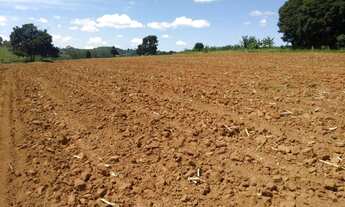 Imagem 2: FAZ.32 ALQUEIRES - PARA CAFÉ, GRÃOS OU PECUÁRIA