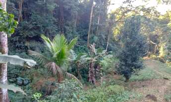 Imagem 7: Sítio em Silva Jardim