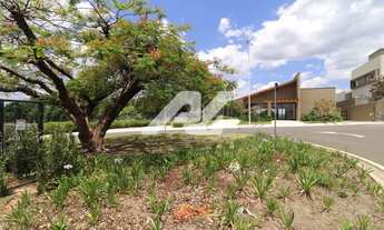 Imagem 4: RESIDENCIAL YPÊ DOURADO LOTE 1000M²