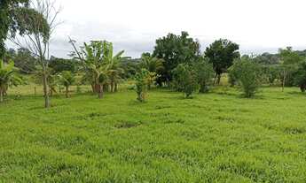 Imagem 3: Fazenda em Guaraita 50 alqueires
