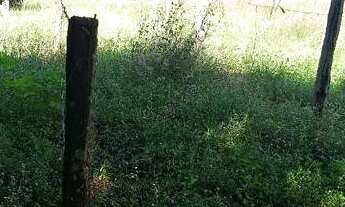 Imagem 7: Oportunidade em Planaltina DF vendo excelente chácara escriturada registrada