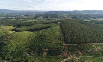 Imagem 7: Fazenda com pivô em Araçuaí MG vale do Jequitinhonha