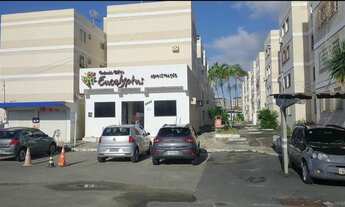 Imagem 2: Eucalipto, Cerejeiras