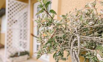 Imagem: Hermosa de 2 Dormitorios Finamente Mobiliado