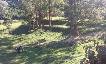 Imagem 4: Sítio de 9 alqueires - produzindo Café - Serra Negra/ Barrocão