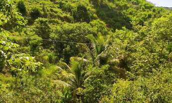 Imagem 3: Alqueire Fazenda / sítio com venda por R$50.000