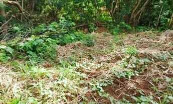 Imagem 4: Terreno para Venda em Campo Grande, Jardim das Perdizes