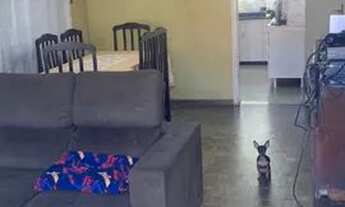 Imagem 3: Casa a venda bairro alto