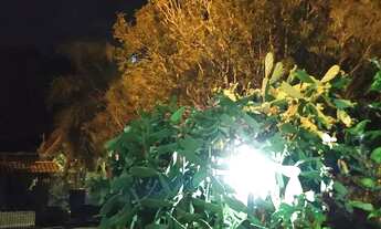 Imagem 6: Sitio cristal dos ipês!