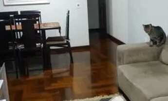 Imagem 2: Apartamento Santa Terezinha São Bernardo do Campo