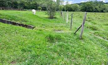 Imagem: LP - Vende-se terreno barato, fique atento