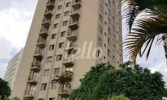 Imagem 6: São Paulo - Apartamento Padrão - Cangaíba