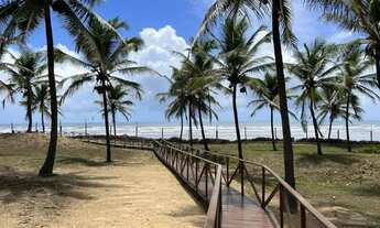 Imagem 5: Lote no Maikai 69733 !