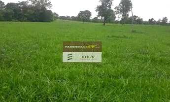 Imagem 3: Fazenda Extra em Mutunopolis-GO ! 45 alqueires toda formada!