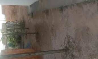 Imagem 3: CASA PADRÃO CAIXA 2 Quartos