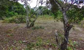 Imagem 2: Lote de 1000m2 em Arraial D?Ajuda