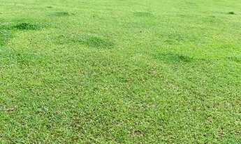 Imagem 3: Jt- Vende- se terreno com documentação em ordem