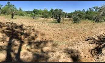 Imagem 3: Sitio Urbano 3450m² Estrada da Branquinha