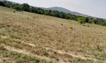 Imagem 5: Fazenda Dupla Aptidão Município de Montes Claros Goiás ! 30 alqueires !