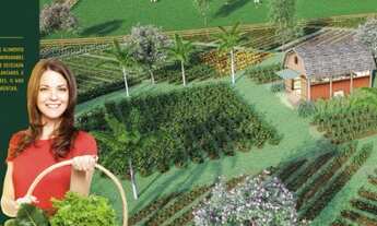 Imagem 3: Lote Barao do Imperio Santa Leopoldina